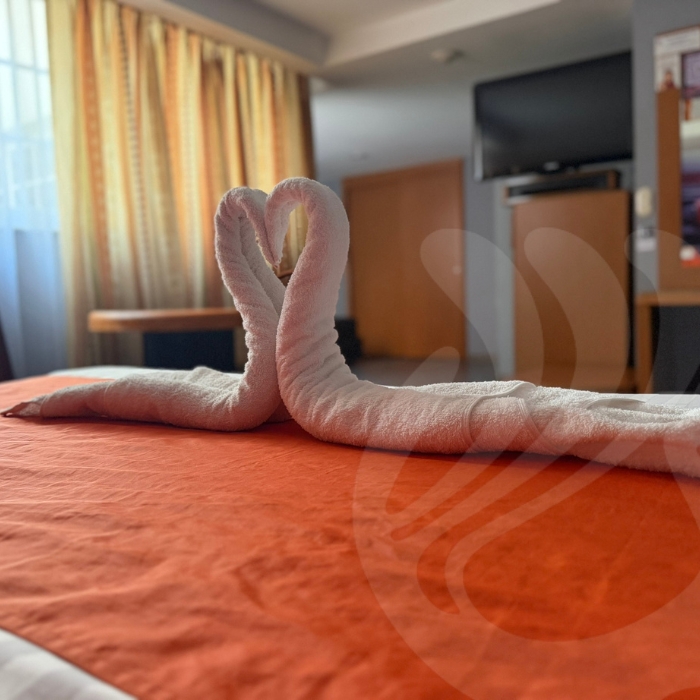 Habitación Estándar Doble Hotel Mexicali - Galería 2