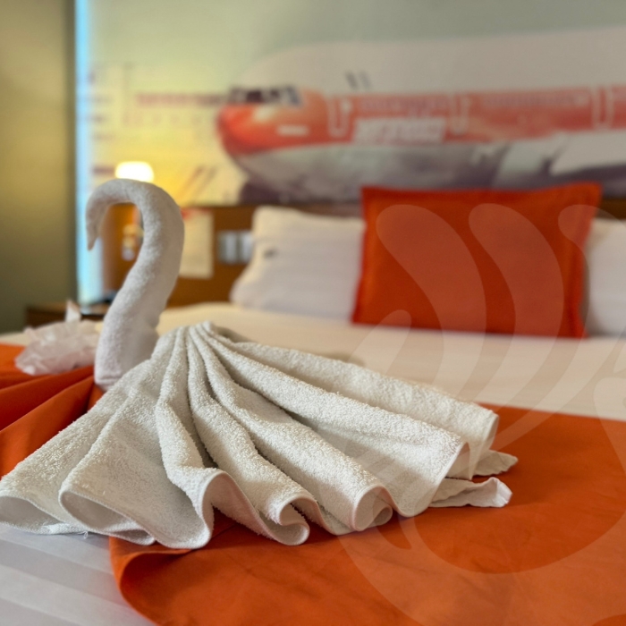 Habitación Estándar Doble Hotel Mexicali - Galería 6